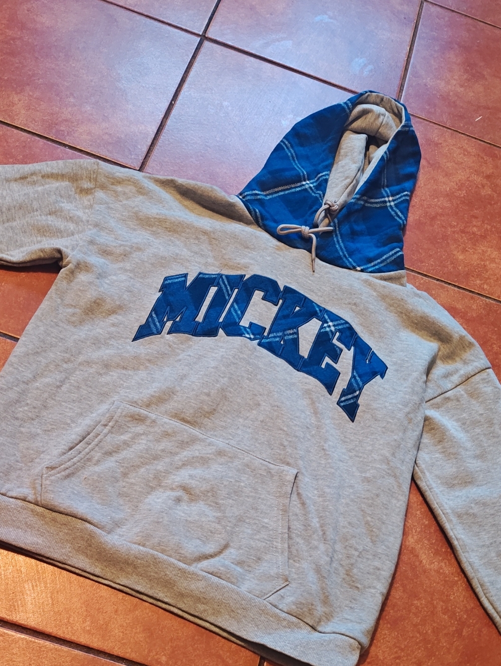 Disney Grey Hoodie with Blue Plaid Hood